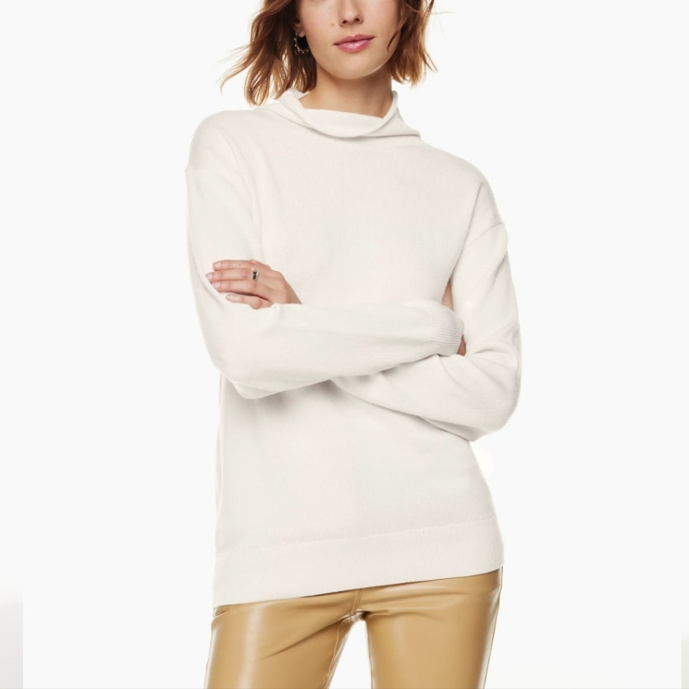 Aritzia Wilfred Montpellier Turtleneck in Light Grey